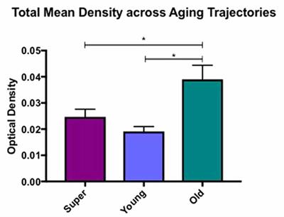 Activated Microglia in Cortical White Matter Across Cognitive Aging Trajectories